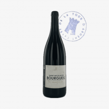 Saint-Nicolas-de-Bourgueil