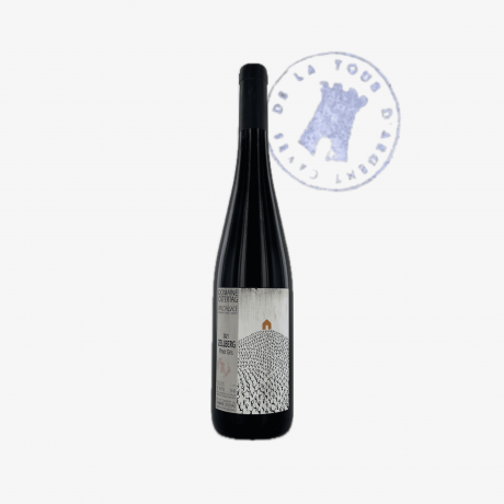 Alsace Pinot gris