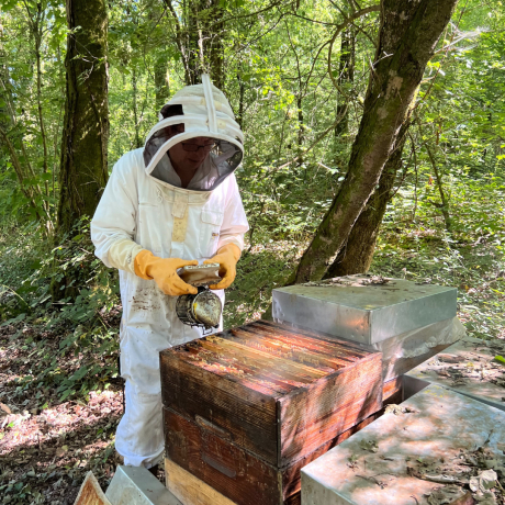 Acacia honey harvested in the Gâtinais