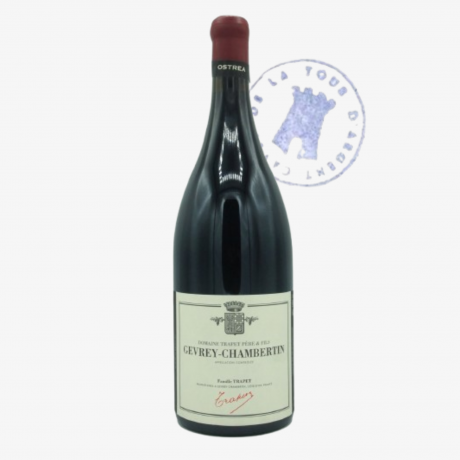 Magnum Gevrey-Chambertin