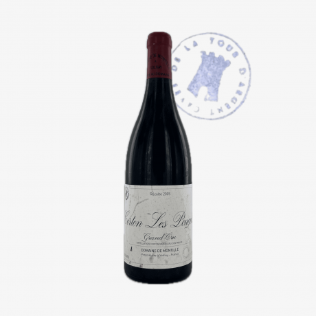 Corton Pougets Grand Cru