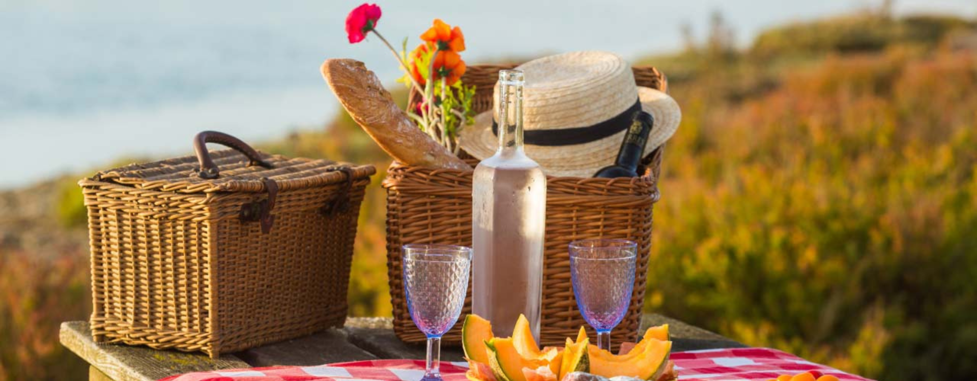 FINDING THE WINE FOR AN UNFORGETTABLE PICNIC-img