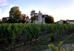 Présentation des Primeurs de Bordeaux 2022 – Un millésime d’anthologie