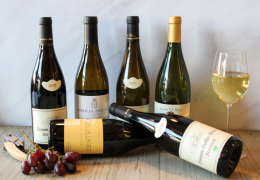 Retour de vignes : nouveaux horizons dans le vignoble du Mâconnais, terroir en vogue